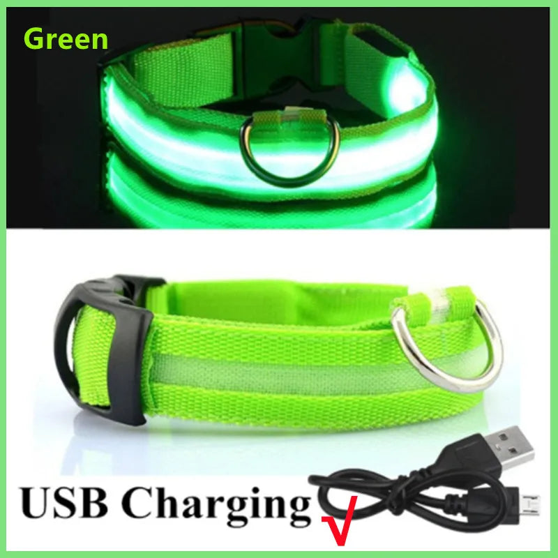 USB Rechargeable LED Glowing Pet Collar (Adjustable)