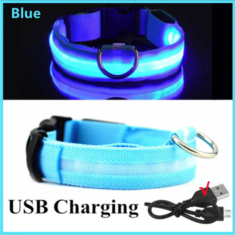 USB Rechargeable LED Glowing Pet Collar (Adjustable)