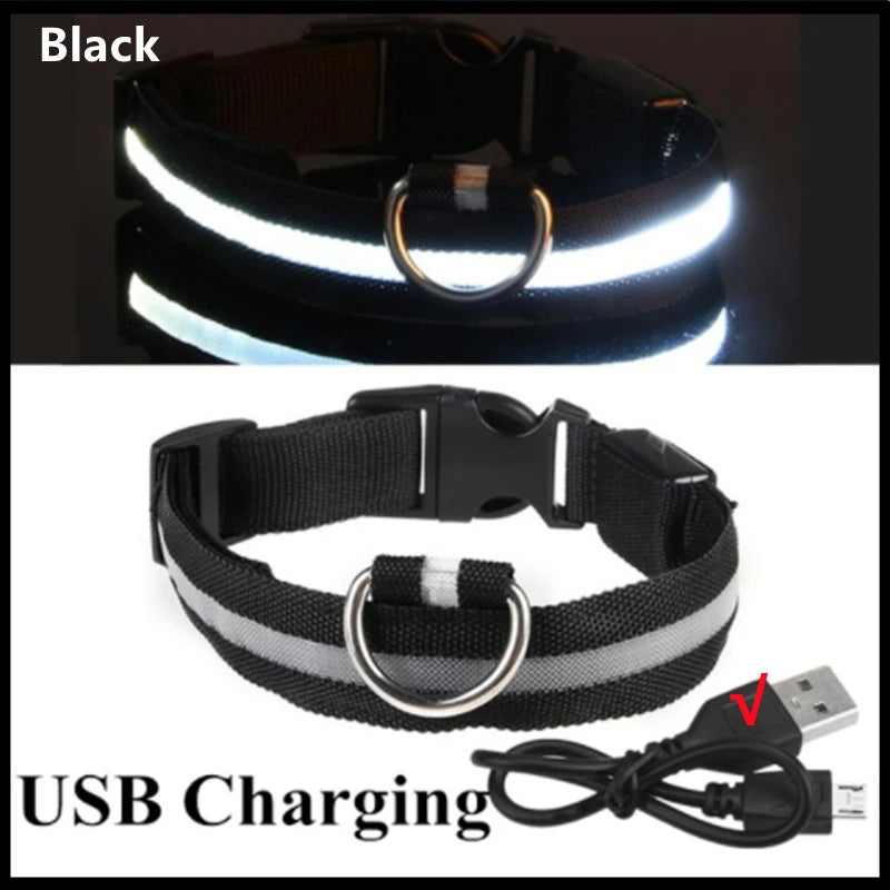 USB Rechargeable LED Glowing Pet Collar (Adjustable)