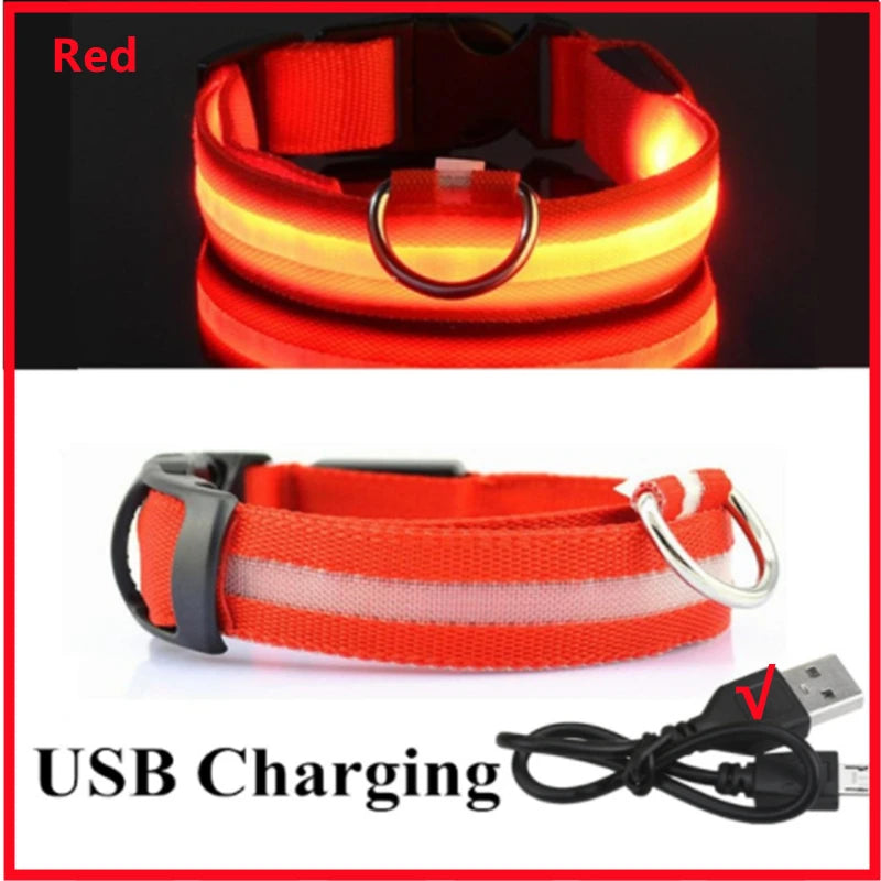 USB Rechargeable LED Glowing Pet Collar (Adjustable)