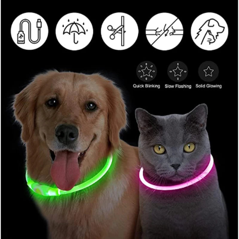 USB Rechargeable LED Glowing Pet Collar (Adjustable)