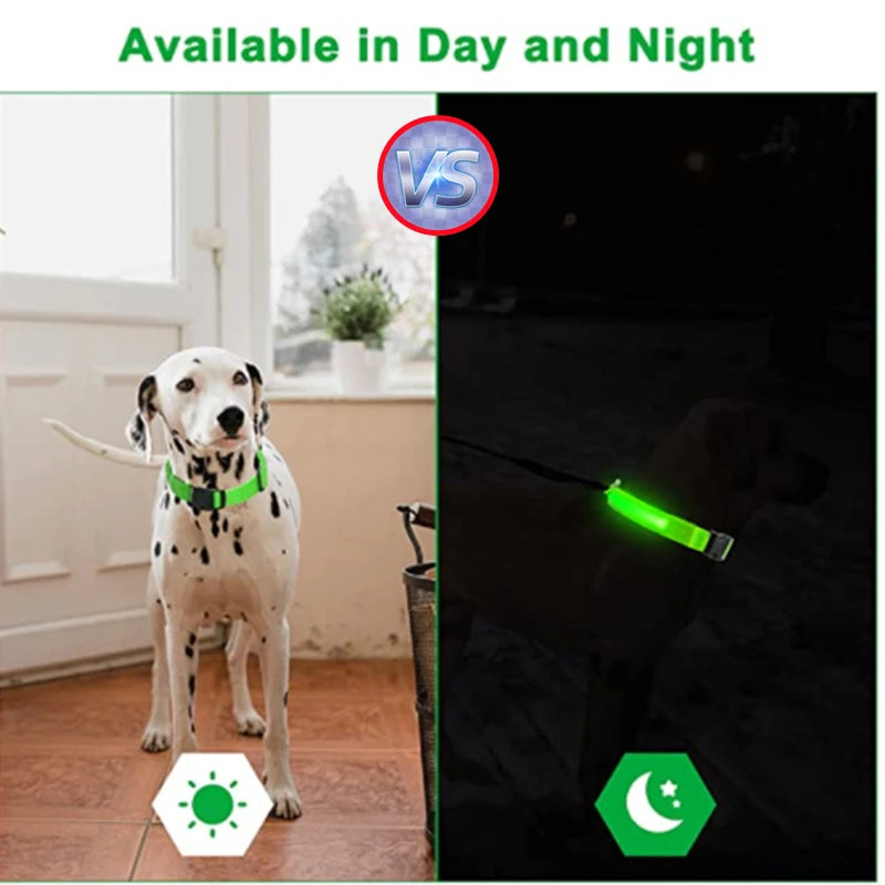USB Rechargeable LED Glowing Pet Collar (Adjustable)