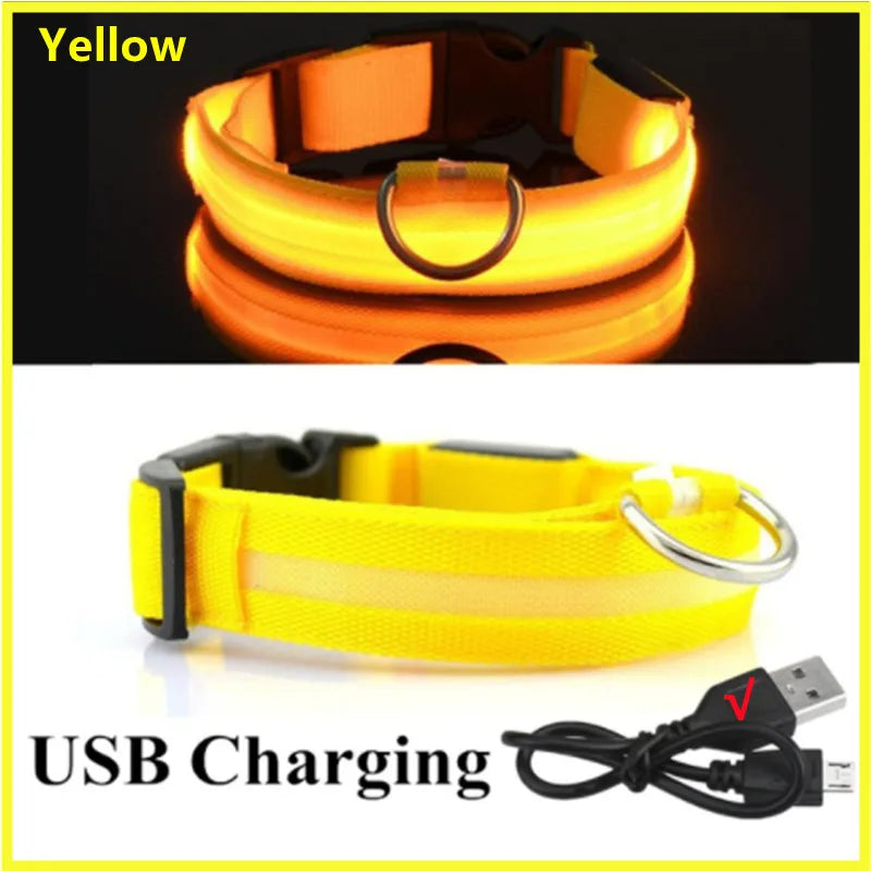 USB Rechargeable LED Glowing Pet Collar (Adjustable)