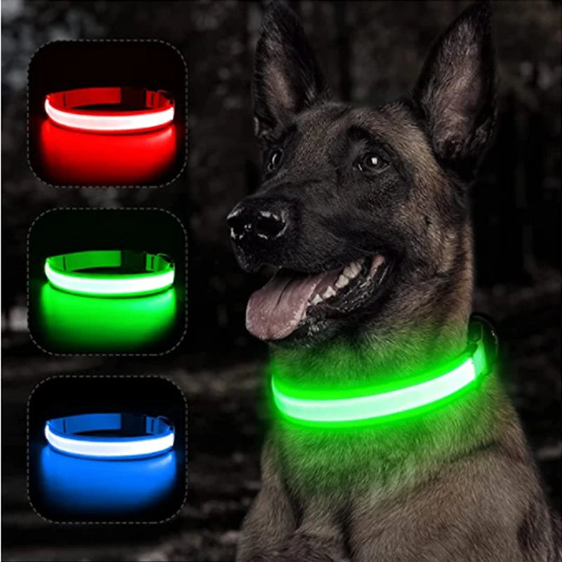 USB Rechargeable LED Glowing Pet Collar (Adjustable)