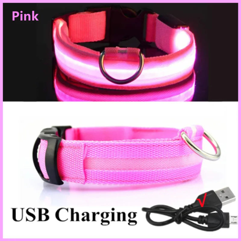 USB Rechargeable LED Glowing Pet Collar (Adjustable)