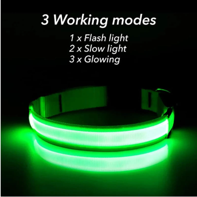 USB Rechargeable LED Glowing Pet Collar (Adjustable)