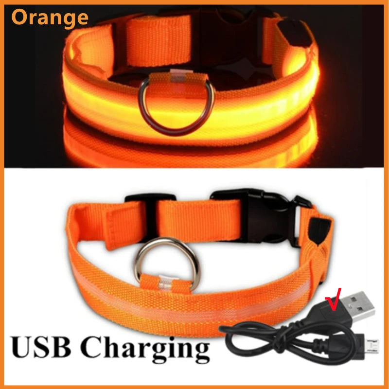 USB Rechargeable LED Glowing Pet Collar (Adjustable)