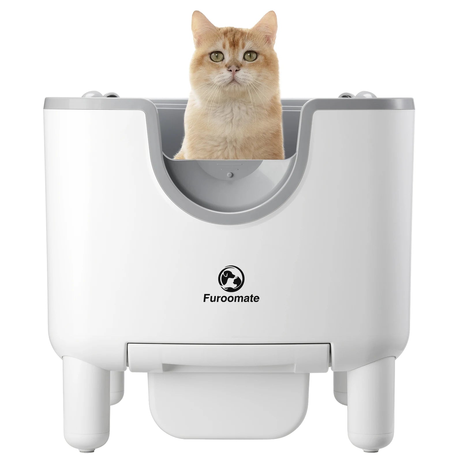 F6 Automatic Self-Cleaning Cat Litter Box – Open-Top Smart Litter System with Odor Control & Safety Protection